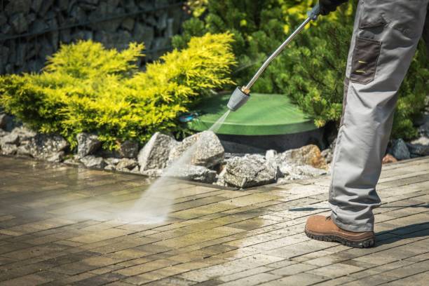 Best Winterizing Services  in Youngstown, NY