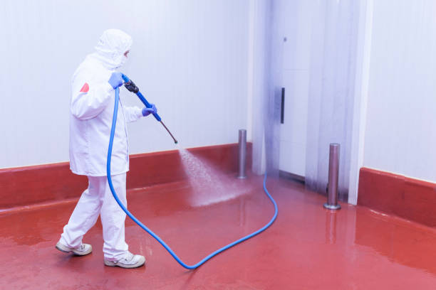 Best Warehouse Cleaning  in Youngstown, NY