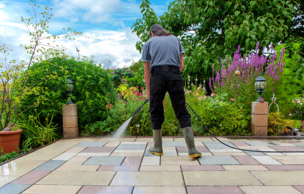 Best Fence Cleaning  in Youngstown, NY