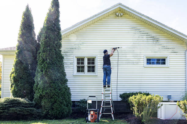 Best Dumpster Area Cleaning  in Youngstown, NY